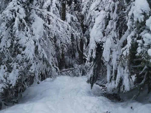 La station de ski de La Bresse Hohneck ouvrira en avance
